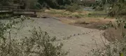 Vale dos Dinossauros na Paraíba reabre as portas após incêndio devastador