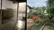 Ventos de 70 km/h causam destruição no Paraná: árvores caídas, destelhos e falta de luz