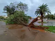 Ventos de mais de 100 km/h causam destruição em Caarapó, MS: veja imagens e previsão
