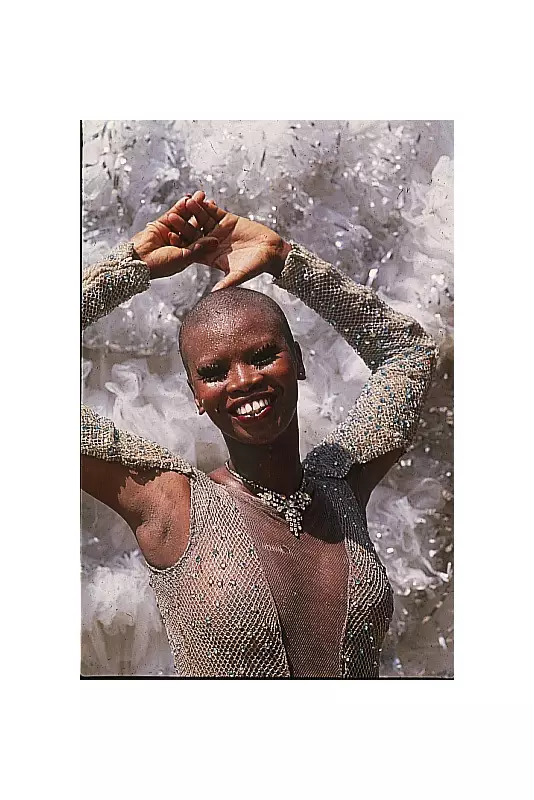 A Ausência de Pinah: O Vazio na Recepção ao Príncipe William que Comoveu o Brasil