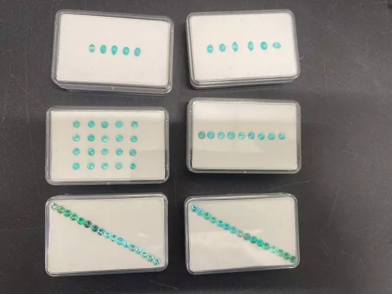 Aeroporto de Campina Grande: Homem é preso com turmalinas escondidas em tentativa de contrabando