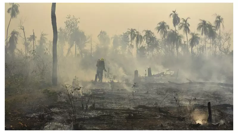 AGU move 40 ações por R$ 476 mi contra crimes ambientais na COP30