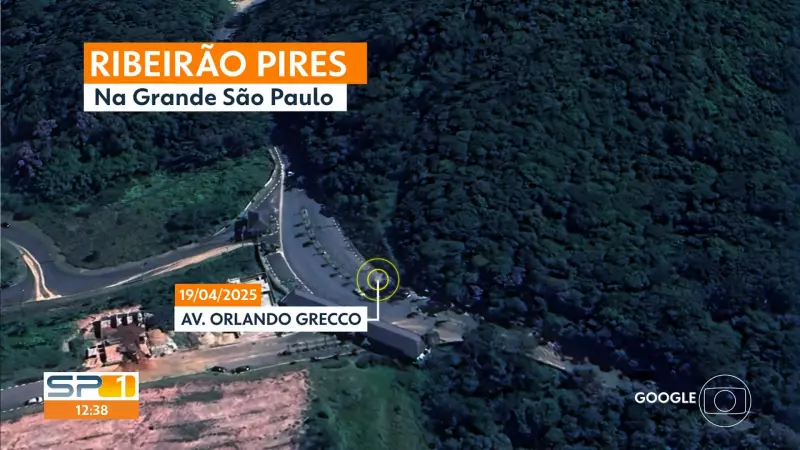 Alerta Ambiental: Desmatamento em Ribeirão Pires Cresce 10x em 6 Anos na Grande SP