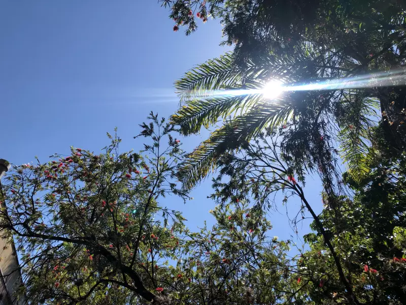 Alerta de baixa umidade: Campinas em risco com índice de 20%