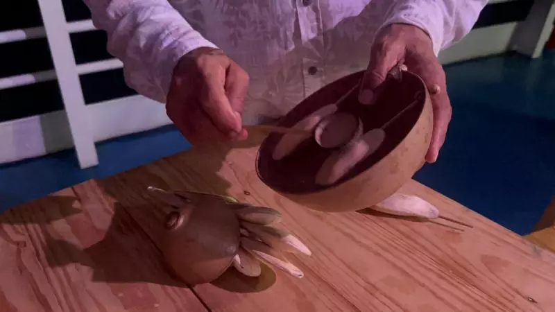 Arte amazônica ecoa na COP30: música, poesia e bioinstrumentos