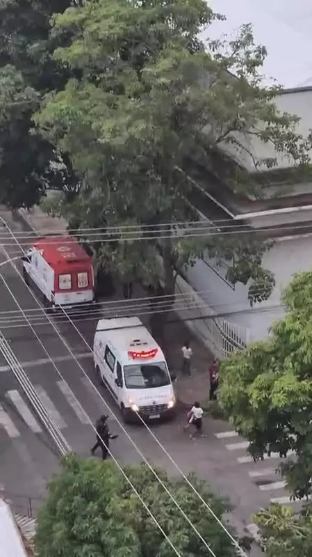 Ataque de Abelhas Deixa Feridos em Três Rios: Saiba Como se Proteger