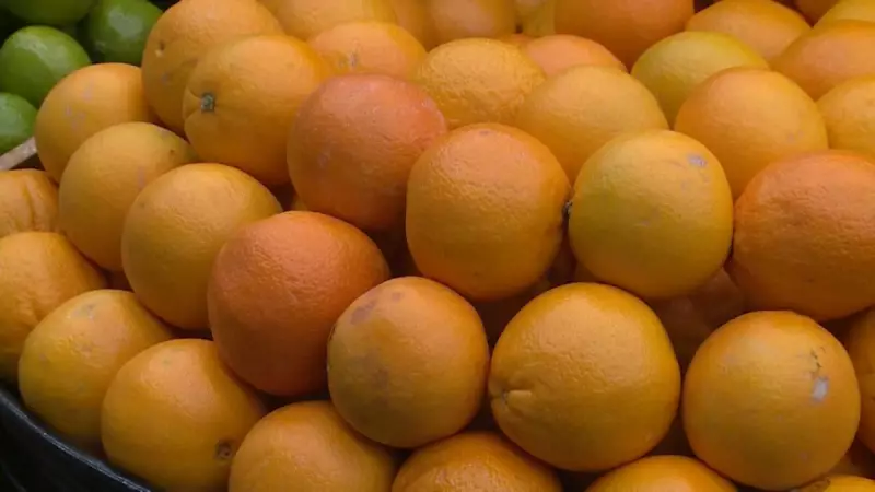 Atraso nos Salários Abala Citricultura: Demanda por Laranjas Cai e Preços Desabam