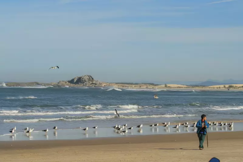 Balneabilidade em SC: 73,95% das praias estão próprias para banho