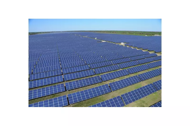 BB e JBIC firmam parceria para financiar projetos verdes no Brasil em 2026