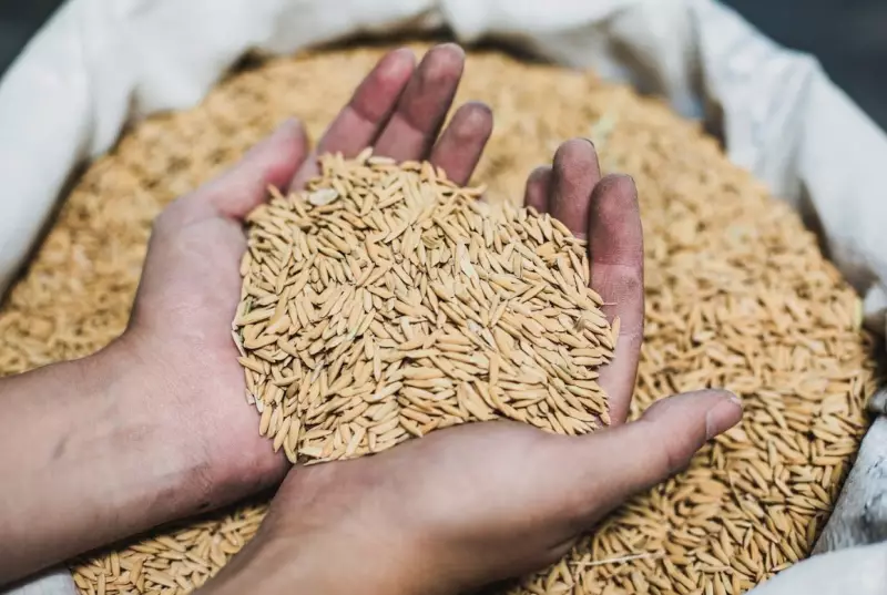 Bem Casado Alimentos inaugura loja de fábrica em São José dos Campos
