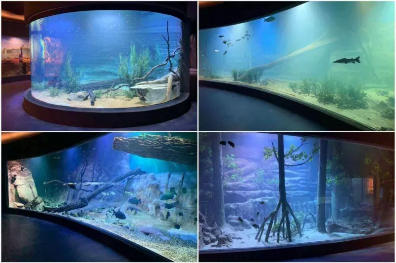 Bioparque Pantanal conquista selo ouro em sustentabilidade internacional