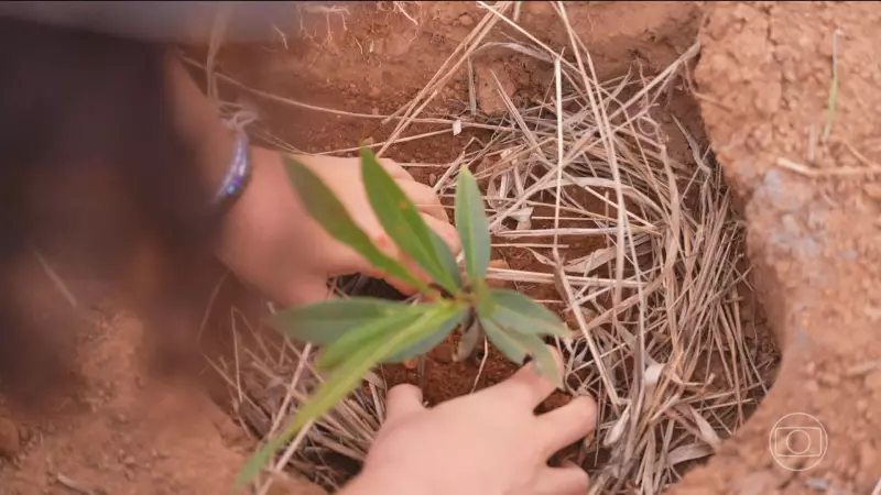 Brasil na COP30: Conheça os 6 Pilares da Estratégia Nacional Contra as Mudanças Climáticas