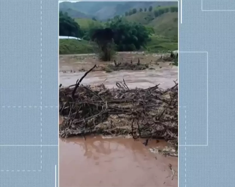 Cabeça D'Água: Fenômeno Raro Assusta Zona Rural de Cantagalo Após Animal Ser Atingido por Raio