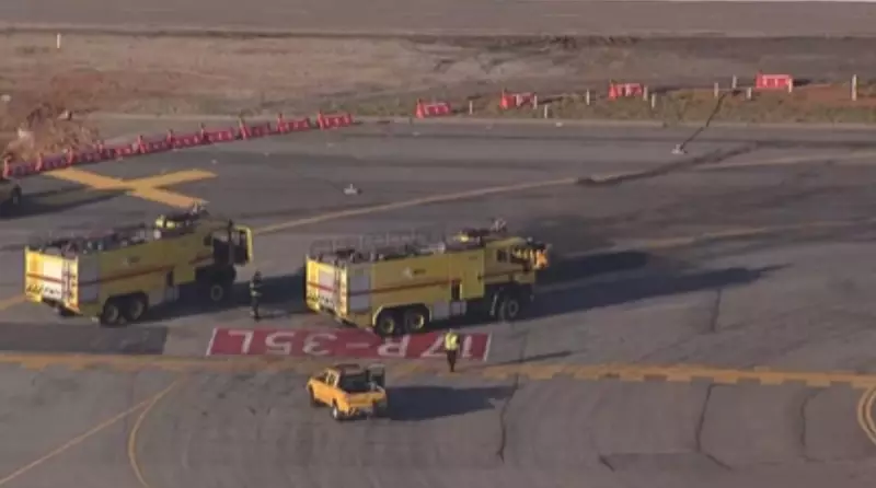 Cachorro invade pista e fecha Aeroporto de Congonhas por 30 minutos