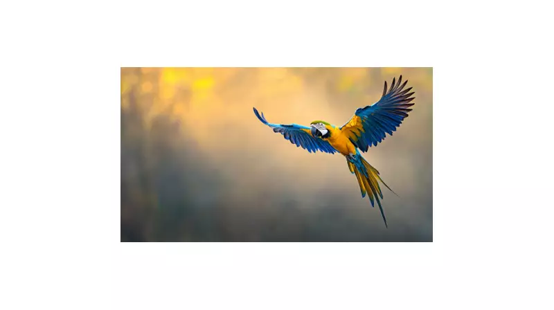 CAIXA investe R$ 474 milhões em 228 projetos sustentáveis no Brasil