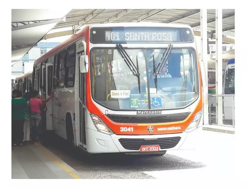 Campina Grande prepara esquema especial de trânsito para o Dia de Finados; confira as mudanças