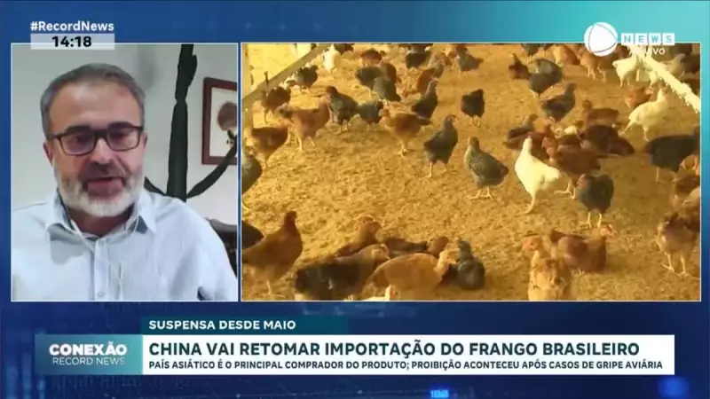 China reabre mercado para frango brasileiro após embargo por gripe aviária