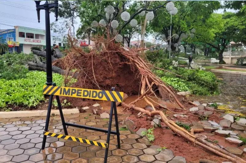 Chuva Devastadora em Presidente Prudente: Árvores Caídas, Muro Desaba e Cidade Fica no Escuro