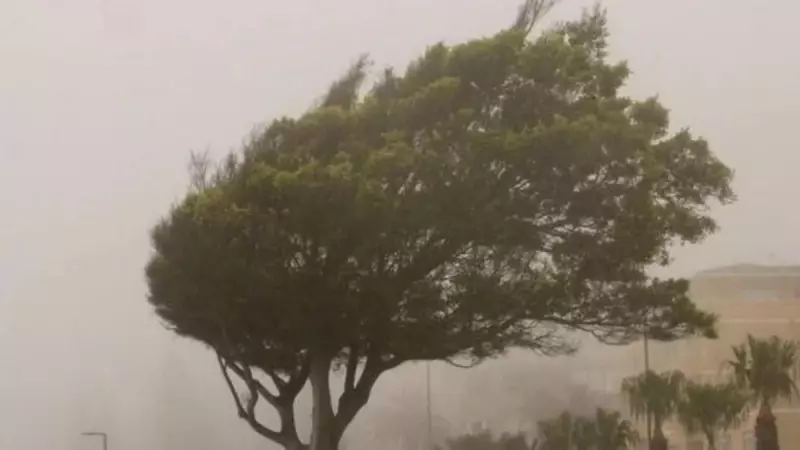 Ciclone Extratropical Ameaça o RS: Saiba Quais Cidades Serão Mais Afetadas por Tempestades
