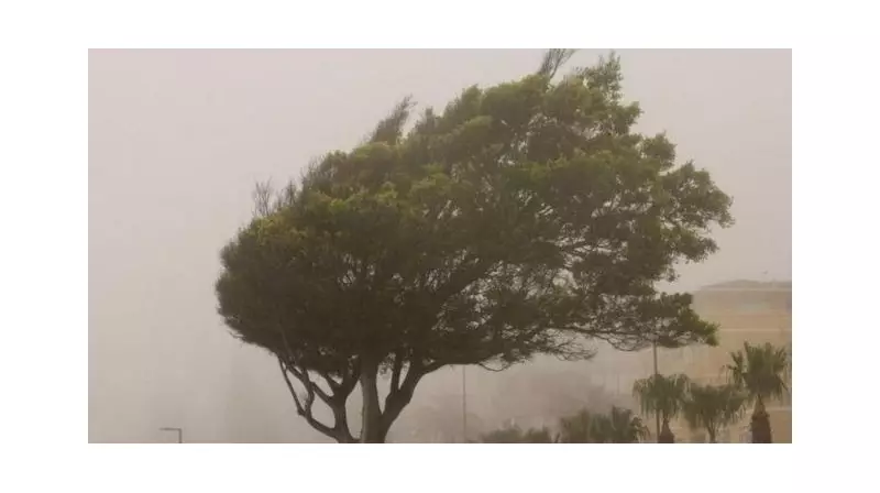 Ciclone Extratropical Ameaça o RS: Ventos Fortes e Chuvas Intensas Preocupam no Final de Semana