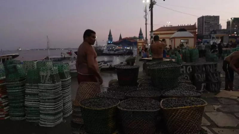 COP30: Belém se Transforma com Obras que Deixarão Legado Histórico para a Amazônia