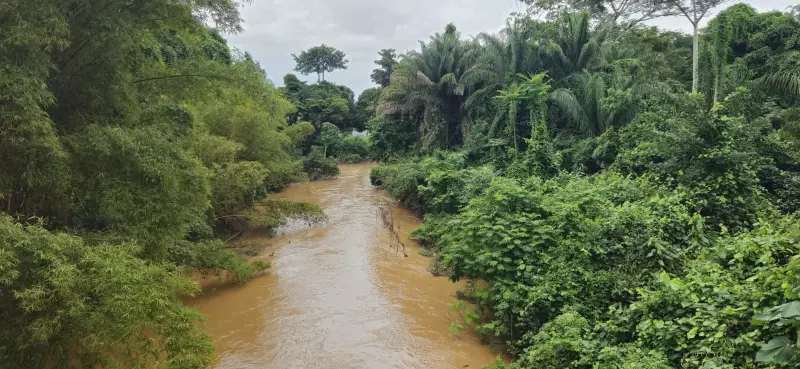 COP30: Brasil lança fundo inovador para transformar preservação em lucro