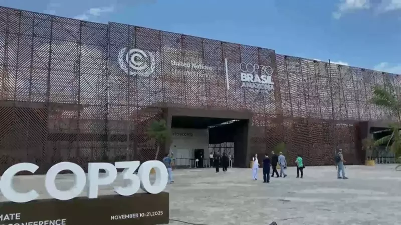 COP30: Brasil pode liderar com agro sustentável, diz especialista