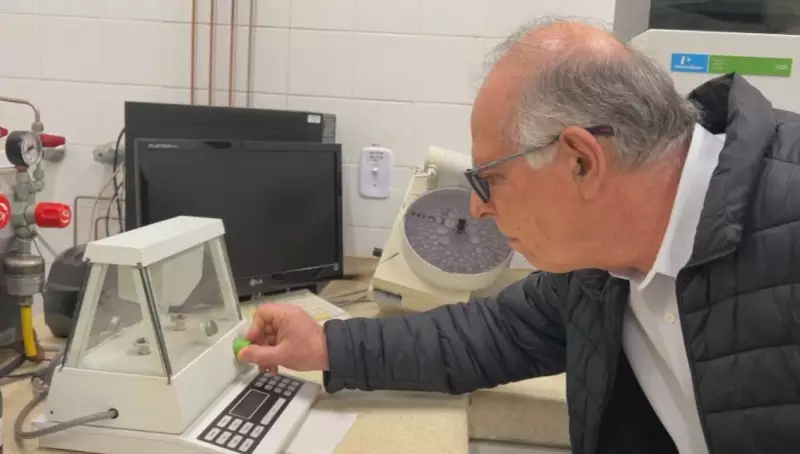 COP30: Equipe da TV Globo Brilha na Cobertura do Evento Climático em Belém