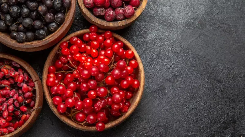 Cranberry: O Superalimento Brasileiro que Transforma sua Saúde | Descubra seus 7 Benefícios
