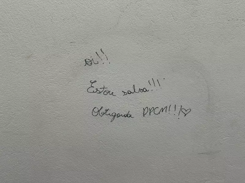 Criança de 5 Anos se Perde em Chapeсó e Envia Mensagem de Socorro: 'Oi, Estou Salva' Comove SC