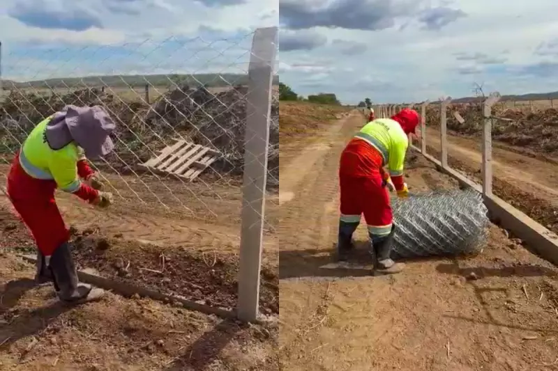 DNIT investe R$ 30,2 mi em cercas para proteger fauna na BR-262