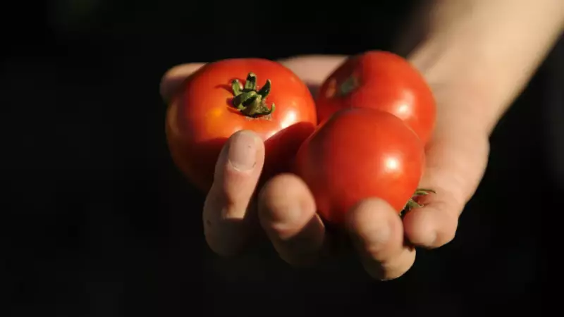 Do Lixo ao Luxo: 7 Alimentos Que Já Foram Considerados Venenosos e Hoje São Estrelas da Gastronomia