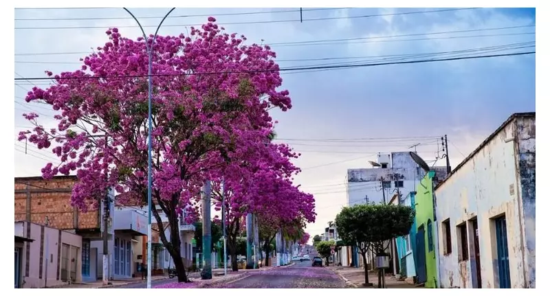 Eleitores de Guiratinga (MT) ganham horário noturno para biometria no TRE-MT