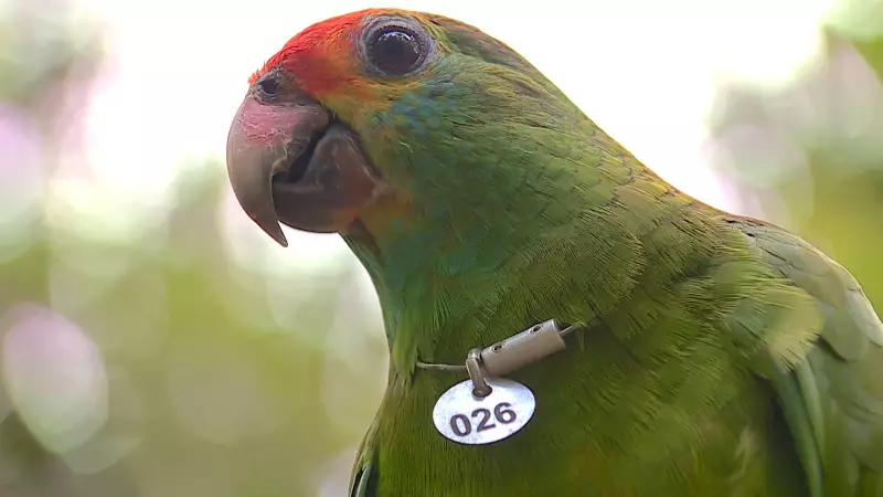 Equipe do Terra da Gente chega à COP30 após travessia pelo Brasil