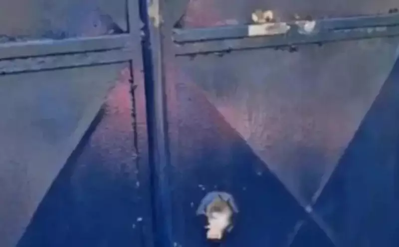 Escola Indígena Xukuru-Kariri sofre ataque a tiros em Alagoas