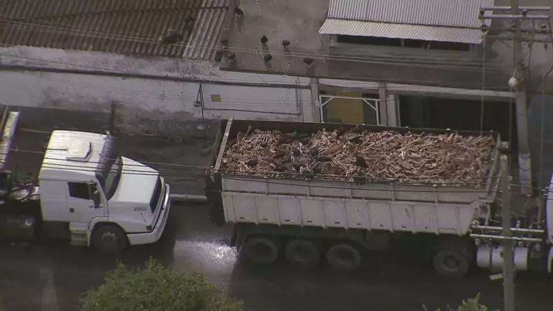 Fábrica em Nova Iguaçu atrai urubus com mau cheiro há anos