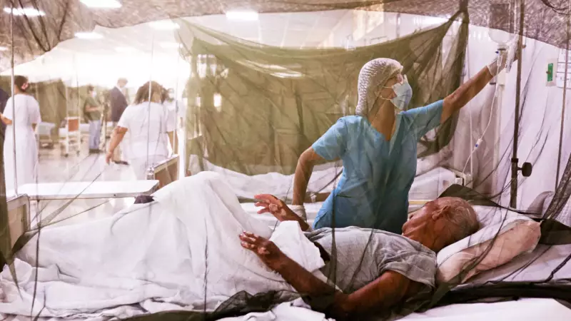 Febre do Oropouche: Surto Preocupa Brasil com Sintomas que se Confundem com Dengue