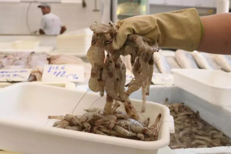 Festival do Camarão Cinza em Santos: Peixaria oferece 20% de desconto no preço do pitéu