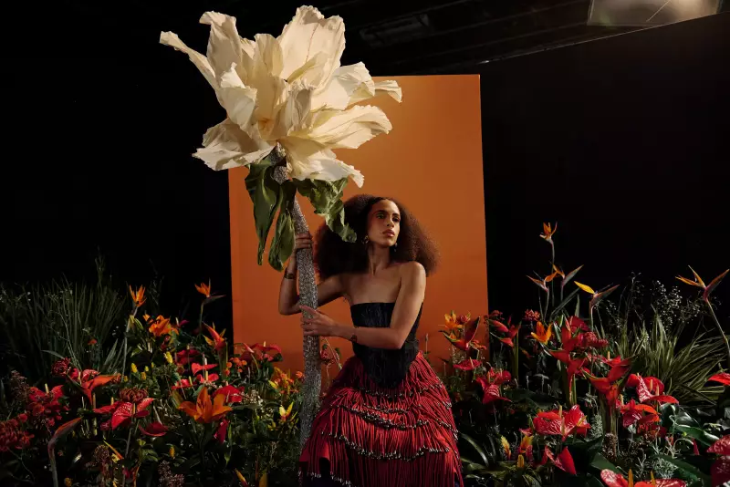 Festival Mês da Música em São José: 20 apresentações gratuitas agitam novembro na região