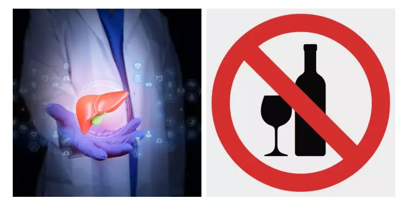 Fígado em Transformação: O Incrível Processo de Regeneração Quando Você Para de Beber Álcool