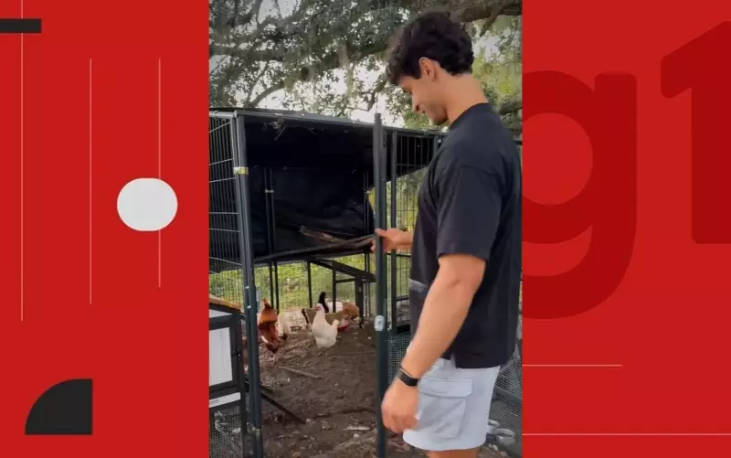 Filho de Carla Perez e Xanddy Encanta com Fazendinha de Galinhas: Veja as Fotos Fofas!