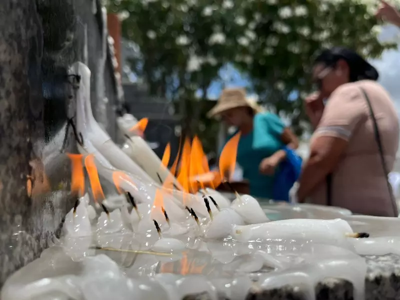 Finados: A Jornada Histórica de Como a Celebração Católica aos Mortos se Tornou Tradição no Brasil