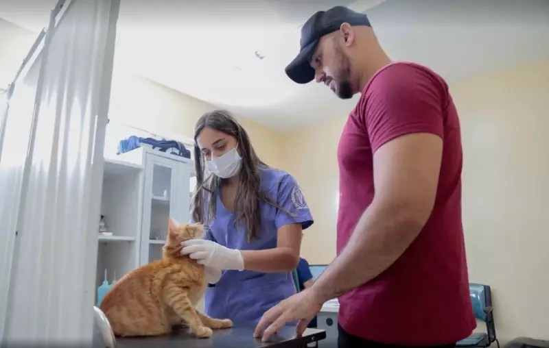 Fortaleza vacina 305 mil animais contra raiva em campanha com 61 pontos