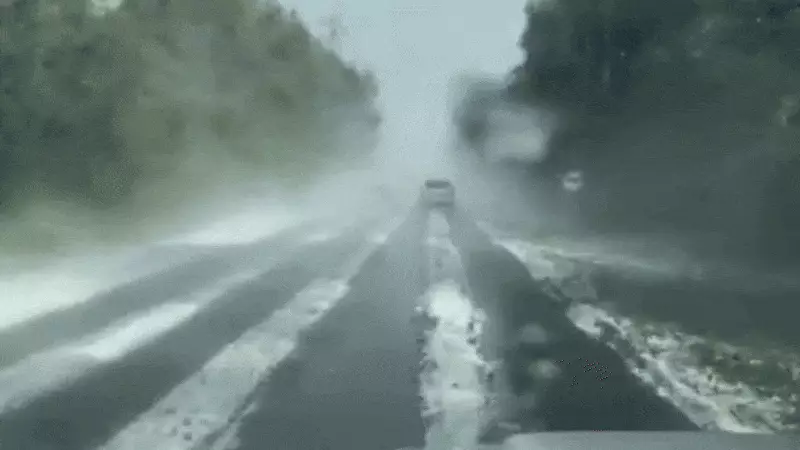Gelo em Novembro no RS? Fenômeno Raro Cobre Estradas no Sul do Brasil