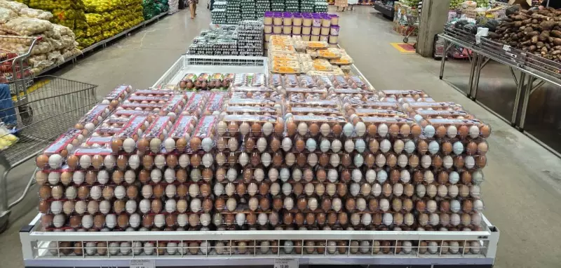 Granjas BS: 1 em 3 ovos caipiras de Palmas abastece supermercados
