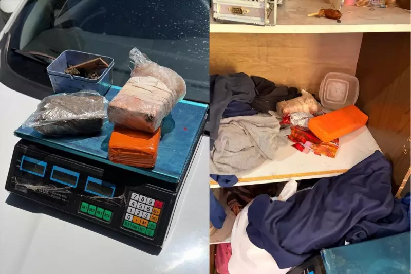 Homem é preso no PR por comprar carro com cheque falso de R$ 65 mil | Estelionato