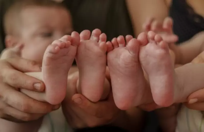 IBGE Revela: Nomes Repetidos Afetam Milhares de Brasileiros no Censo 2025