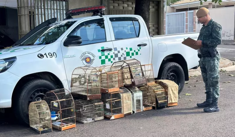 Idoso multado em R$ 9 mil por manter 17 aves silvestres em cativeiro