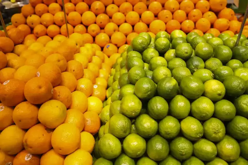 Itaú projeta PIB de 1,7% em 2026 e inflação dentro da meta em 2025