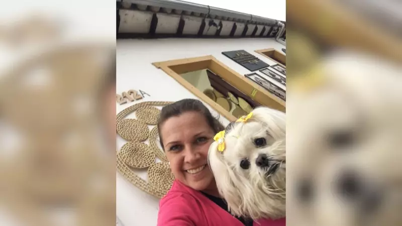 Jornalista cria campanha após morte de cachorra para ajudar animais de rua